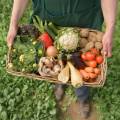 Organic produce with its allied benefits and why we need to embrace it