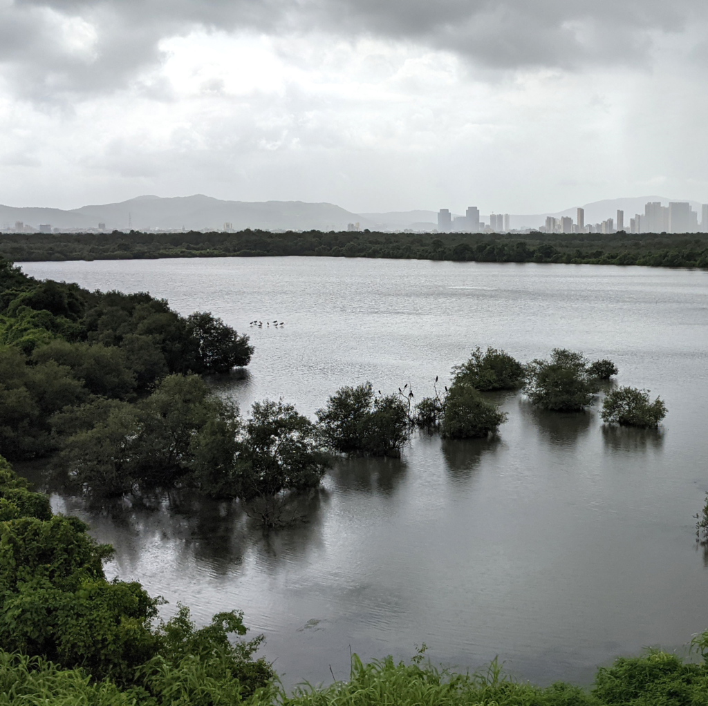 Bhandup-Flamingo-Point-1024x1022