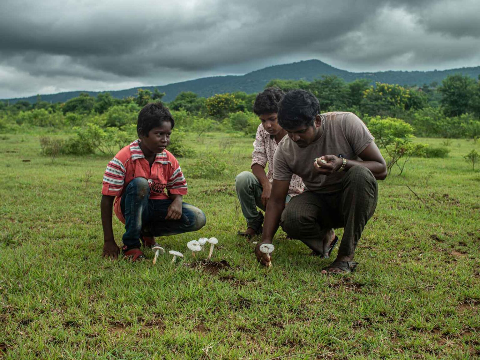 Shillim Conservation Area: Oikos visit Edit | Quick Edit | Trash | View | Duplicate This